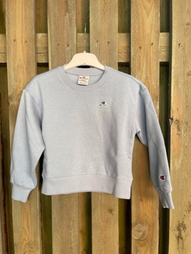 Champion Sweatshirt