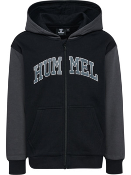 Hummel Alvin Hoodie