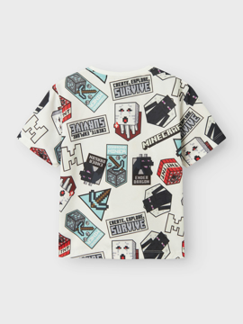 Name It Map Minecraft Poly Top