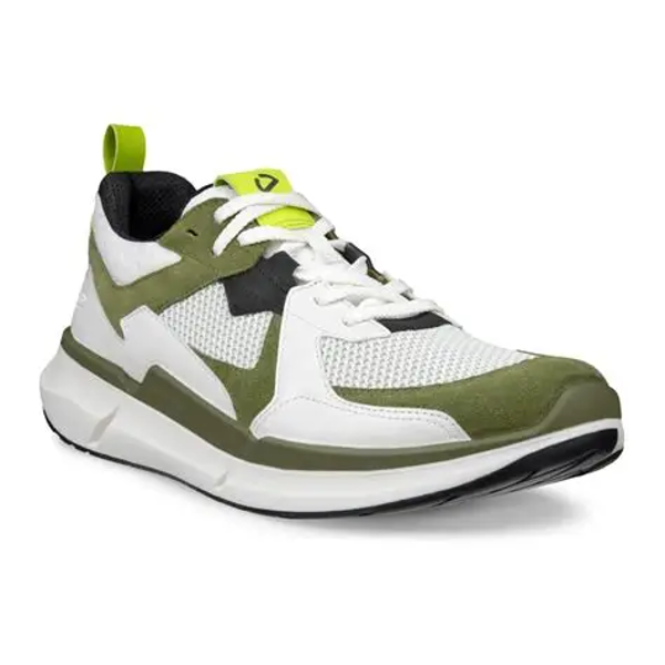 Ecco Biom 2.2 Lea Tex